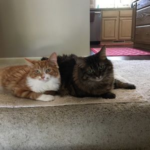 Meet your Posher, Cathy